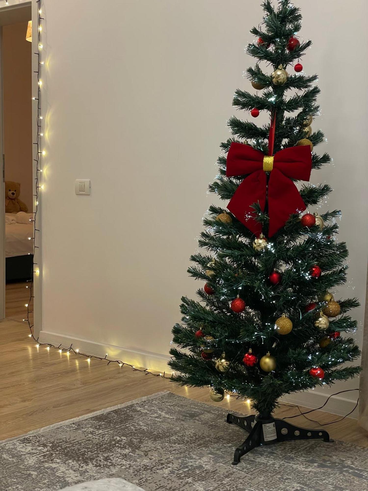 Negruzzi Apartment Dumbravita  Екстериор снимка